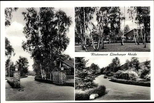 Ak Wintermoor Schneverdingen in der Lüneburger Heide, Gartenanlagen, Wohnhaus, Straßenpartie