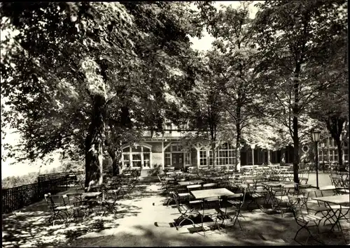 Ak Löbau in Sachsen, HO Gaststätte Honigbrunnen, Blick in den Garten