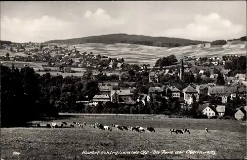 Ak Schirgiswalde Oberlausitz, Panorama, Kuhweide