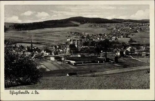 Ak Schirgiswalde Oberlausitz, Panorama