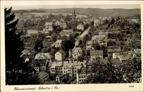 Ak Sebnitz Sächsische Schweiz, Ortsansicht