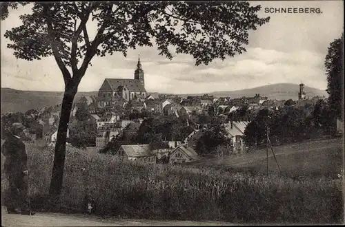 Ak Schneeberg im Erzgebirge, Ortsansicht mit Kirche