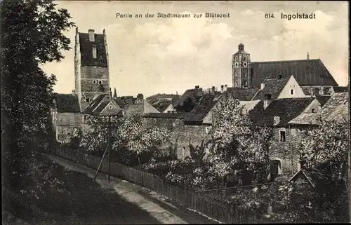 Ak Ingolstadt an der Donau Oberbayern, Partie an der Stadtmauer zur Blütezeit