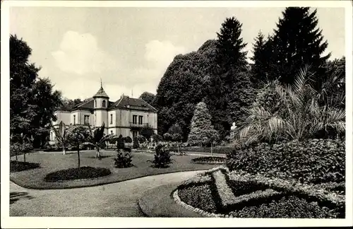 Ak Lahr im Schwarzwald, Partie im Stadtpark, Palmen