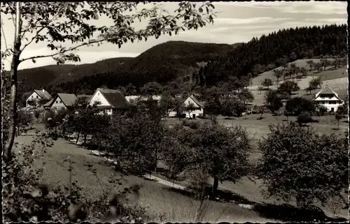 Ak Bad Griesbach im Schwarzwald, Hochalm Breitenberg mit Pension Schneider