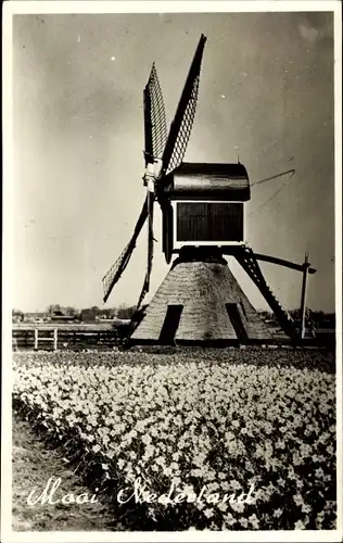 Ak Mooi Drenthe Niederlande, Windmühle
