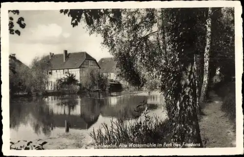 Ak Salzwedel in der Altmark, Alte Wassermühle im Park des Friedens