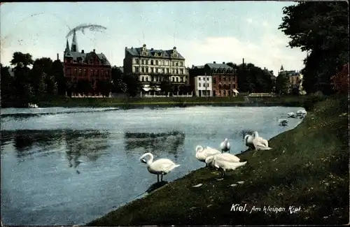 Ak Kiel Schleswig Holstein, Am Kleinen Kiel, Schwäne