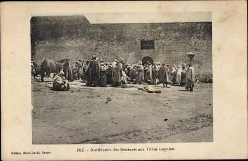 Ak Fès Fez Marokko, Distribution des Semences aux Tribus soumises