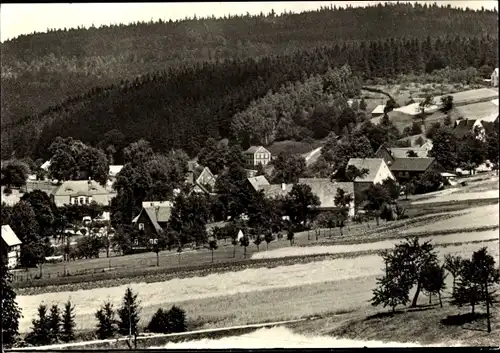 Ak Hetzdorf Halsbrücke in Sachsen, Ortsansicht, Wald