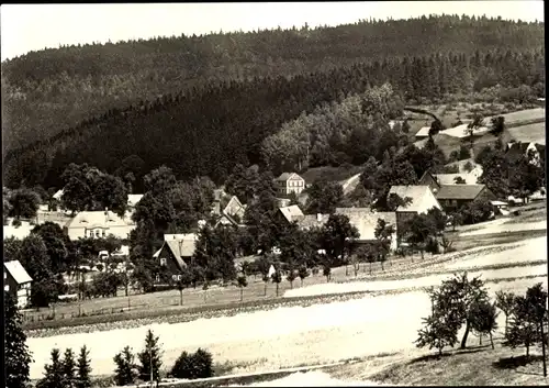 Ak Hetzdorf Halsbrücke in Sachsen, Ortsansicht, Wald