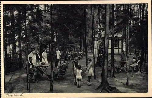 Ak Hohnstein in der Sächsischen Schweiz, Im Park des Post Erholungsheim