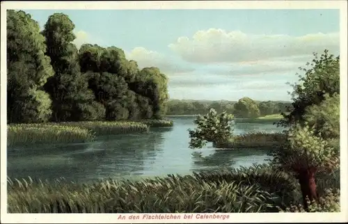 Ak Calenberge Magdeburg, An der Fischteichen, Parkrestaurant Wolter