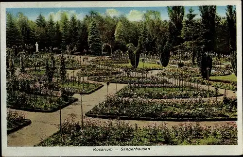 Ak Sangerhausen am Südharz, Rosarium