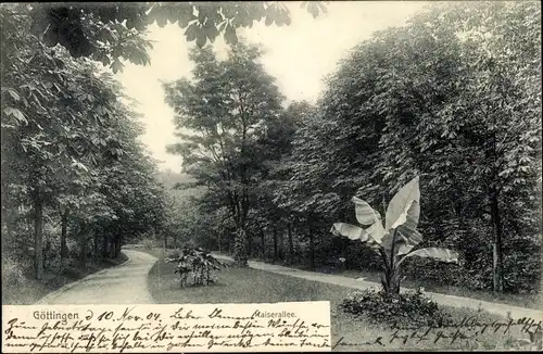 Ak Göttingen in Niedersachsen, Kaiserallee