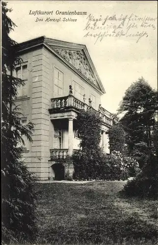 Ak Oranienbaum Wörlitz in Anhalt, Herzogl. Schloss