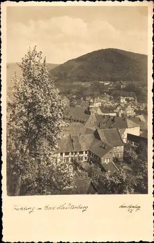 Ak Bad Lauterberg im Harz, Blick über die Dächer im Frühling, Blühender Baum