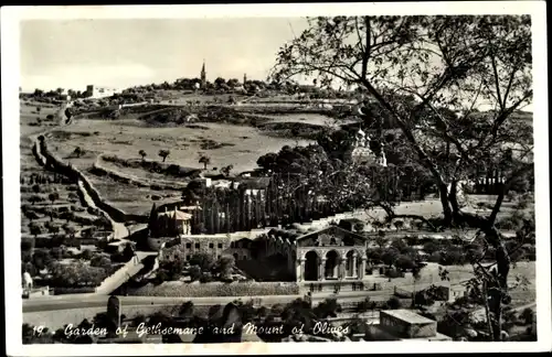 Ak Gethsemane Israel, Garden and Mount of Olives