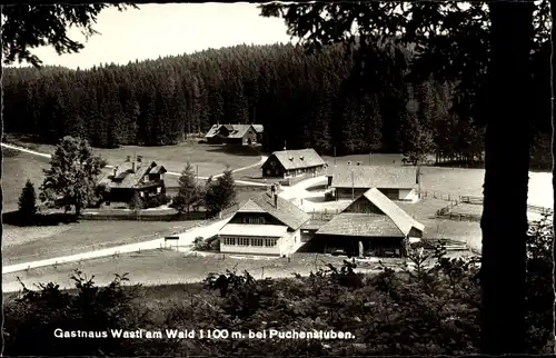 Ak Puchenstuben in Niederösterreich, Gasthaus Wastl am Wald