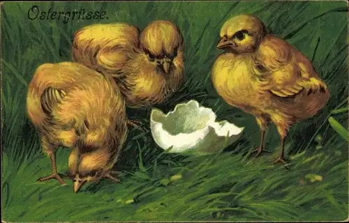 Ak Glückwunsch Ostern, Küken, Eierschale