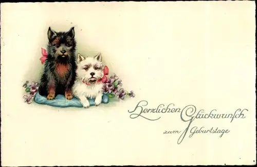 Ak Glückwunsch Geburtstag, Hunde und Blumen