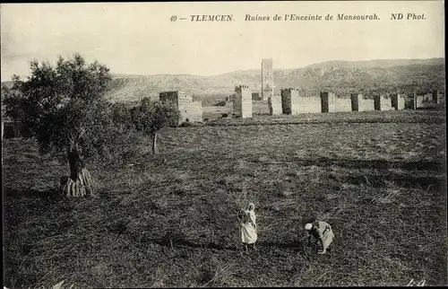 Ak Tlemcen Algerien, Ruines de l'Enceinte de Mansourah, Blick auf Ruinen
