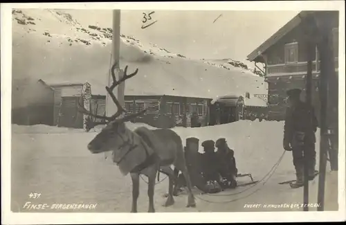 Ak Finse Norwegen, Bergensbanen, Rentier mit Schlitten und Kindern