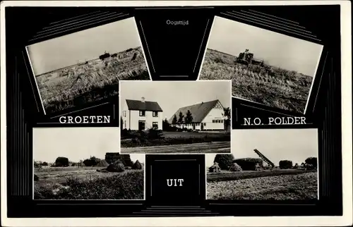 Ak Noordoostpolder Flevoland, Oogsttijd