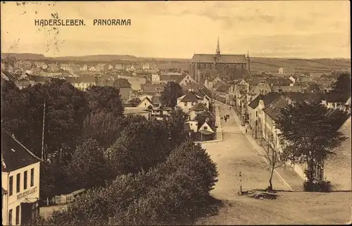 Ak Haderslev Hadersleben Dänemark, Panorama