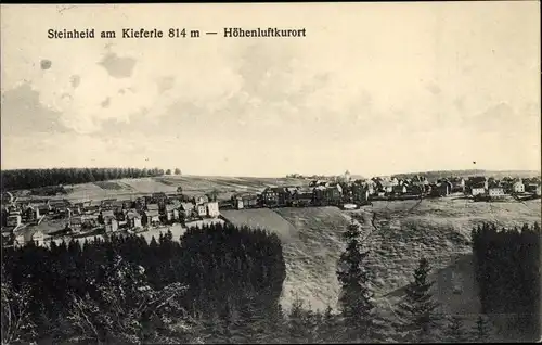 Ak Steinheid Neuhaus am Rennweg Thüringen, Teilansicht