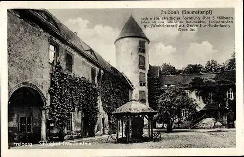 Ak Freiberg in Sachsen, Stubben, Versteinerter Baumstumpf im Schlosshof Freudenstein