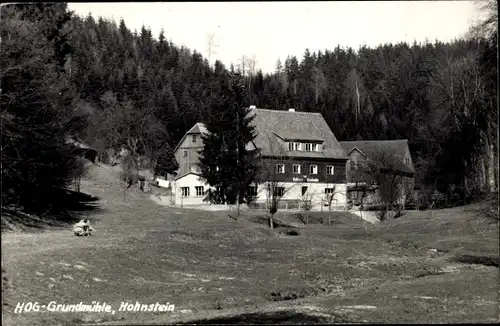 Ak Hohnstein Sächs. Schweiz, HOG Grundmühle am Waldrand