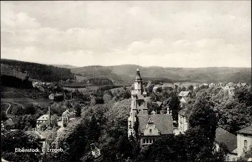 Ak Eibenstock Erzgebirge, Ortsansicht