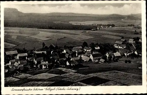 Ak Reinhardtsdorf Schöna in Sachsen, Totalansicht der Ortschaft, Felder