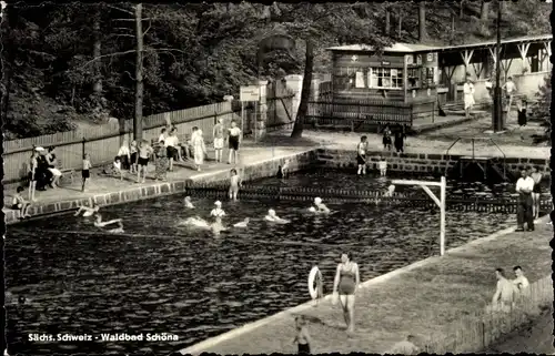 Ak Schöna Sächsische Schweiz, Partie im Waldbad