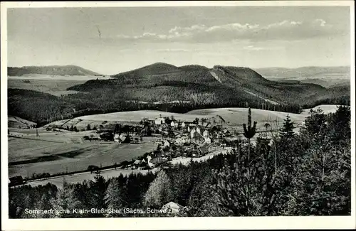 Ak Kleingießhübel Reinhardtsdorf Schöna in Sachsen, Panorama