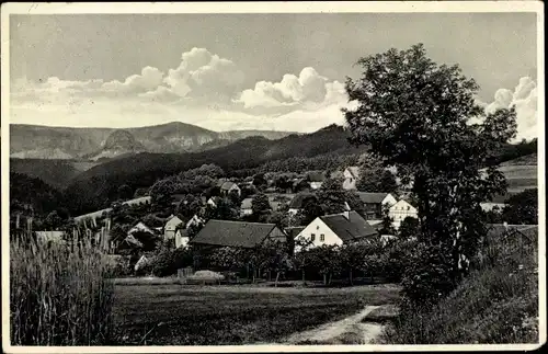 Ak Hinterhermsdorf Sebnitz Sachsen, Panorama