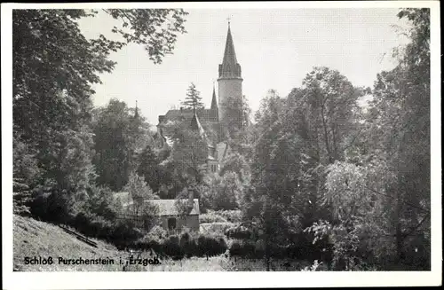 Ak Neuhausen im Erzgebirge, Schloss Purschenstein