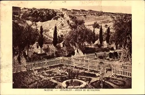 Ak Gethsemane Israel, Garden de Gethsemani