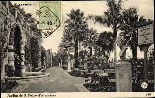 Ak Lisboa Lissabon Portugal, Jardim de S. Pedro d'Alcantara
