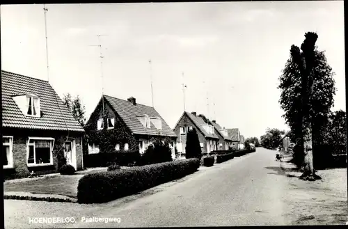 Ak Hoenderloo Gelderland, Paalbergweg