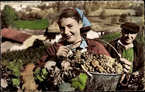 Ak En Vendanges, Un sourire apres la cueillette, Weinlese
