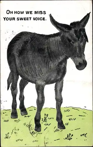 Ak Oh how we miss your sweet voice, Esel