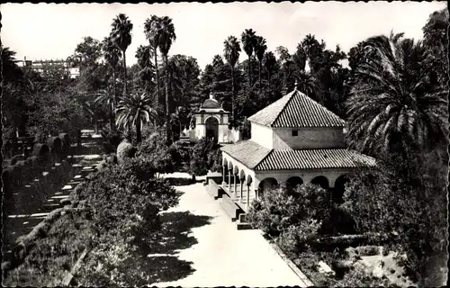 Ak Sevilla Andalusien, Reales Alcazares, Jardines y Pabellon de Carlos V