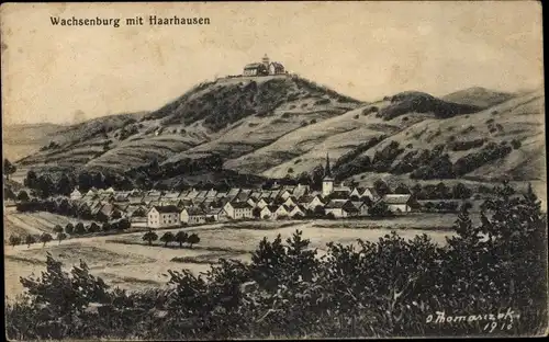 Künstler Ak Thomasczek, O., Haarhausen in Thüringen, Totalansicht mit Wachsenburg