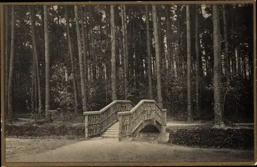 Ak Arnsdorf in Sachsen, Landesanstalt, Anstaltspark, Brücke