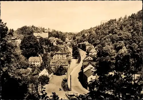 Ak Tharandt im Erzgebirge, Blick von der Ruine