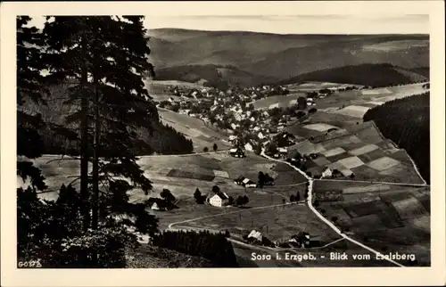 Ak Sosa Eibenstock Erzgebirge, Blick vom Eselsberg