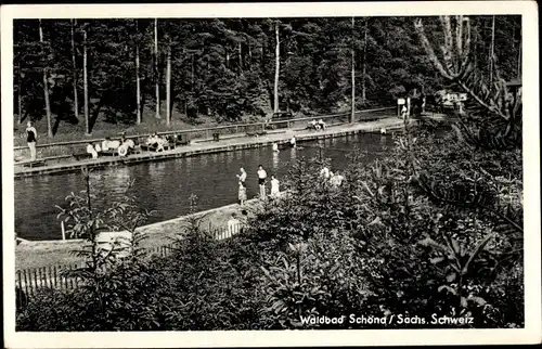 Ak Schöna Sächsische Schweiz, Waldbad