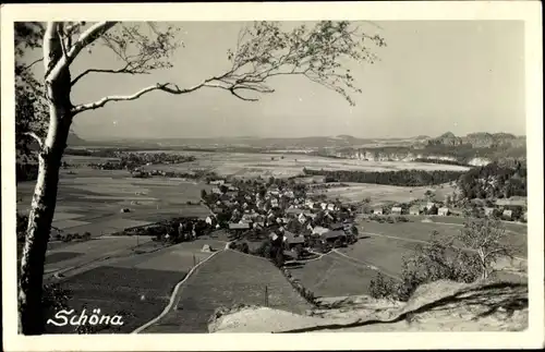 Ak Schöna Sächsische Schweiz, Panorama